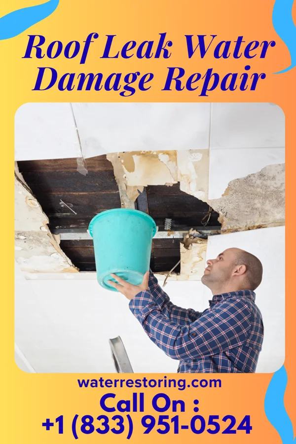 Roof Leak Water Damage Repair in Donnybrook, ND